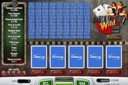 Play Deuces Wild (100-hands) for Free