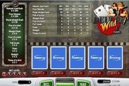 Play Deuces Wild (1-hand) for Free