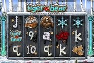 Play Tiger Vs Bear for Free