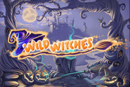 Play Wild Witches for Free