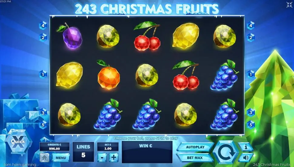 243 Christmas Fruits
